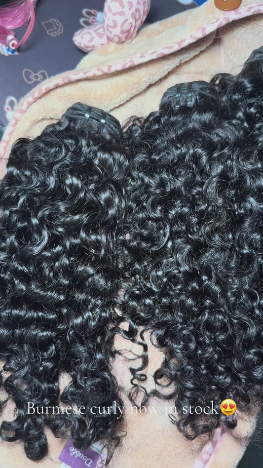 Burmese Curly Bundle Deals